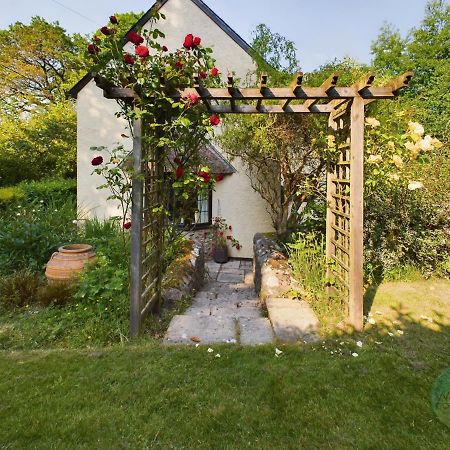 Sundowner - Axminster Devon Villa Exteriör bild