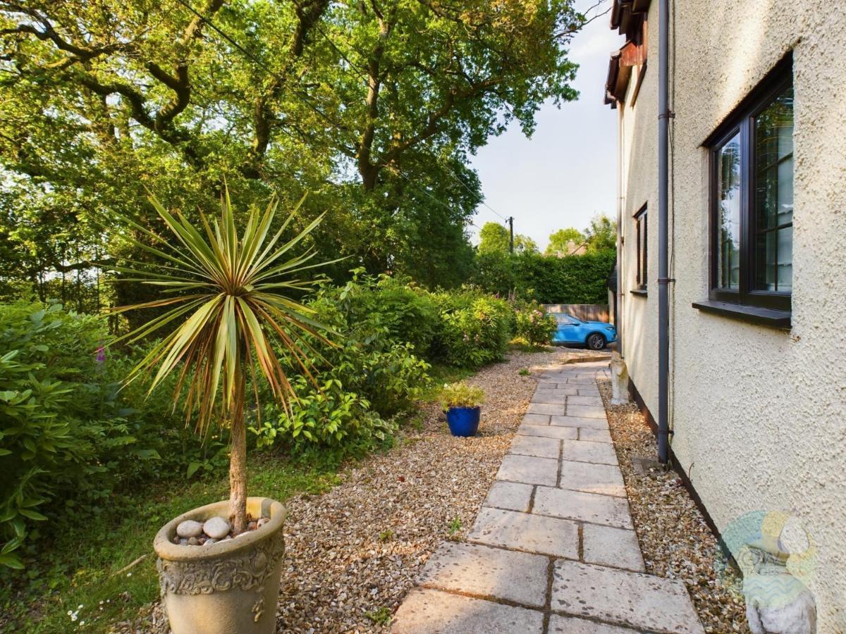 Sundowner - Axminster Devon Villa Exteriör bild